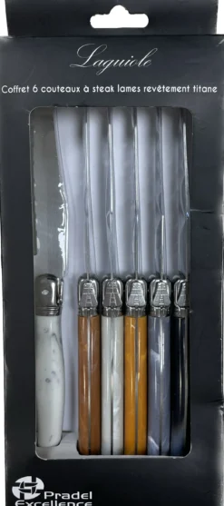 LES MARBRES SET 6 COUTEAUX DE TABLE PANACHES BOITE COULEUR