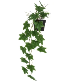 LIERRE RETOMBANT POT PLASTIQUE NOIR L.51CM