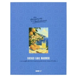 LIVRE RANGEMENT DECO GIORNI FELICI 22X17CM