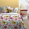 LUCYA HOUSSE COUETTE 240X220CM ET 2 TAIES 63X63CM