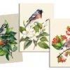 LYDIA OISEAU TORCHON 50X70CM MULTICOLORE