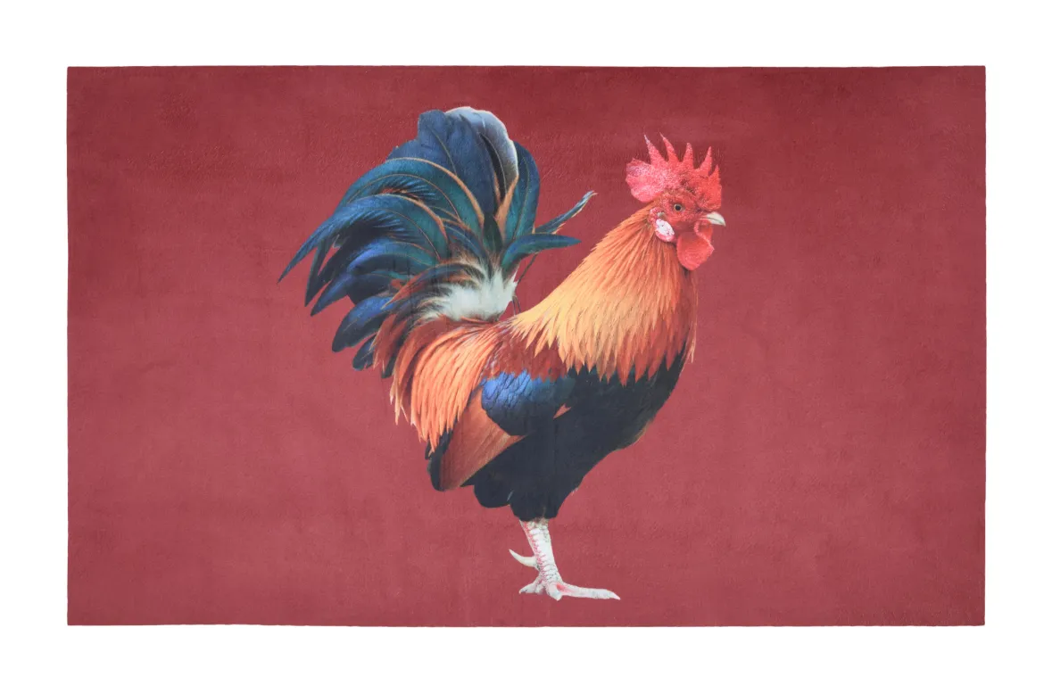 MARIANNE TAPIS RUBBER 45X75CM ROUGE