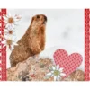 MARMOTTE TAPIS 45X75CM