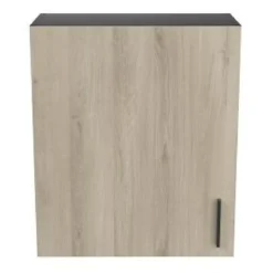MEUBLE HAUT 60CM 1 PORTE