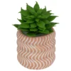 MINI PLANTE GRASSE POT CIMENT UBI H.7CM