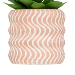 MINI PLANTE GRASSE POT CIMENT UBI H.7CM