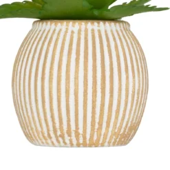 MINI PLANTE GRASSE POT CIMENT UBI H.7CM