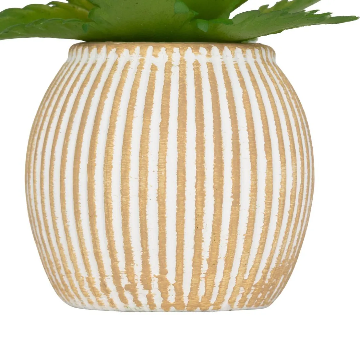 MINI PLANTE GRASSE POT CIMENT UBI H.7CM