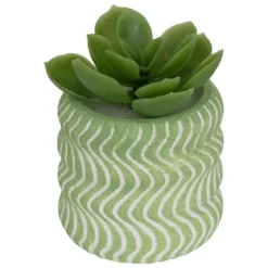 MINI PLANTE GRASSE POT CIMENT UBI H.7CM