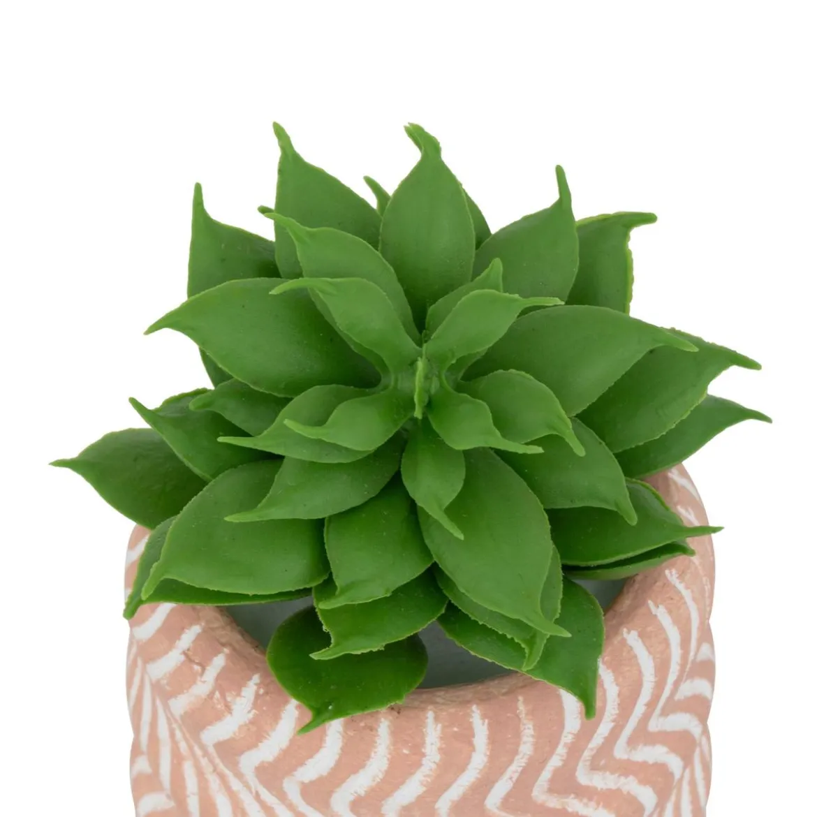 MINI PLANTE GRASSE POT CIMENT UBI H.7CM