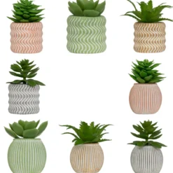 MINI PLANTE GRASSE POT CIMENT UBI H.7CM