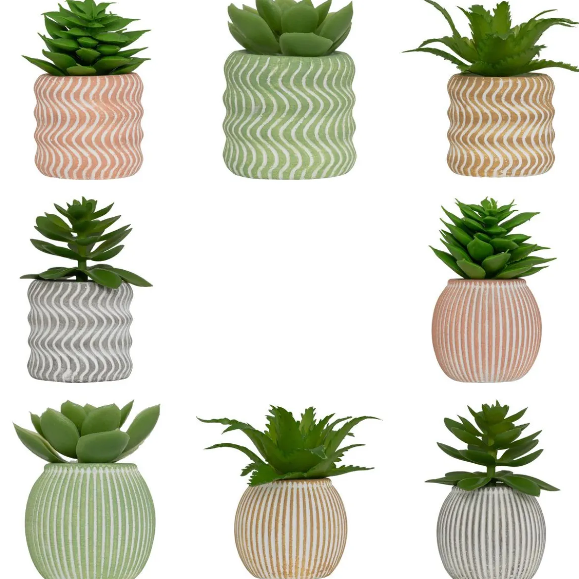 MINI PLANTE GRASSE POT CIMENT UBI H.7CM