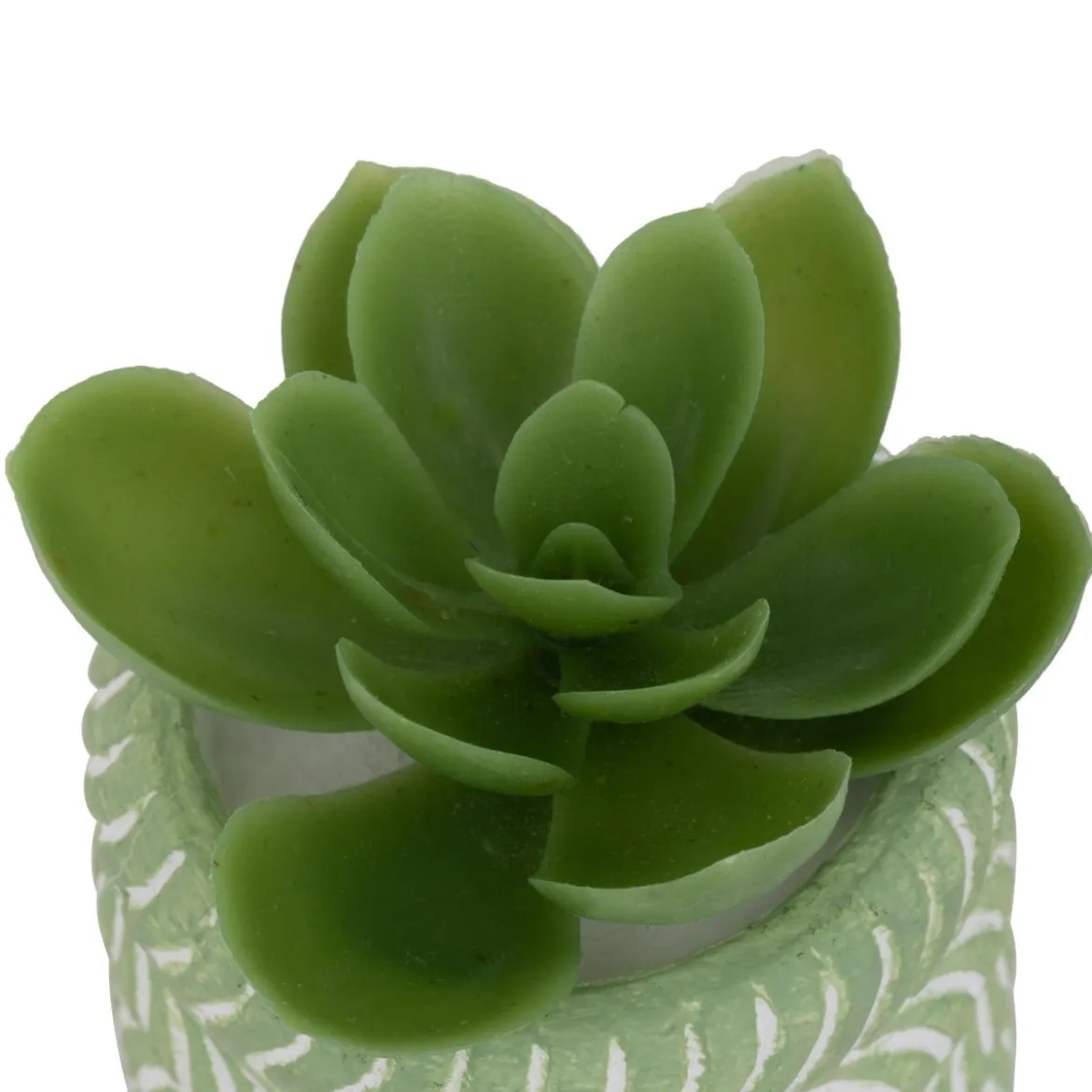 MINI PLANTE GRASSE POT CIMENT UBI H.7CM