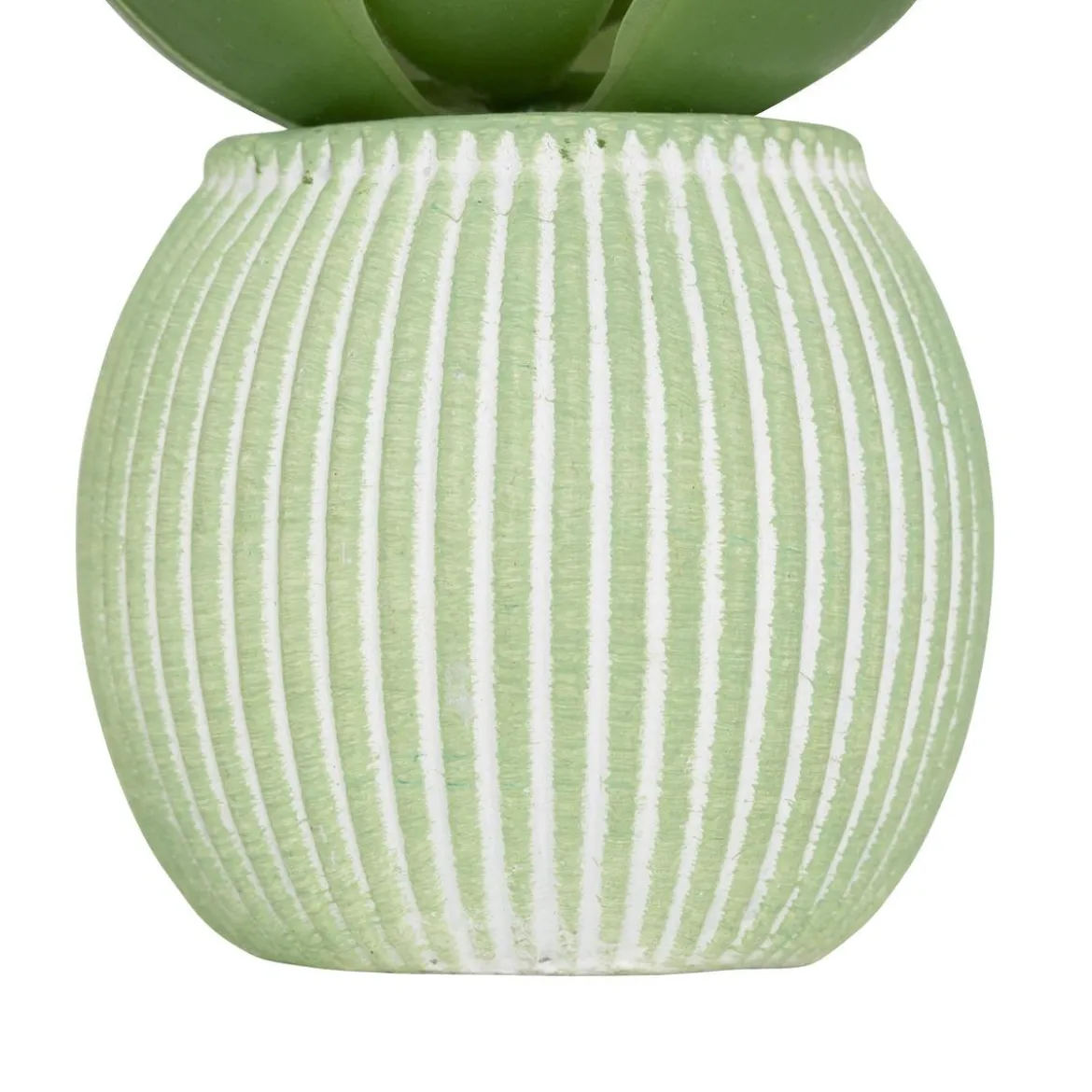 MINI PLANTE GRASSE POT CIMENT UBI H.7CM