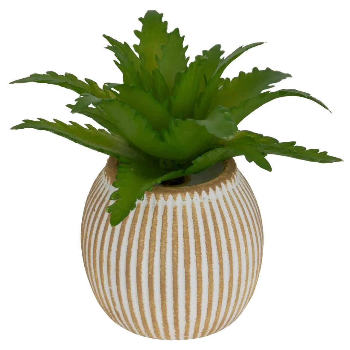 MINI PLANTE GRASSE POT CIMENT UBI H.7CM