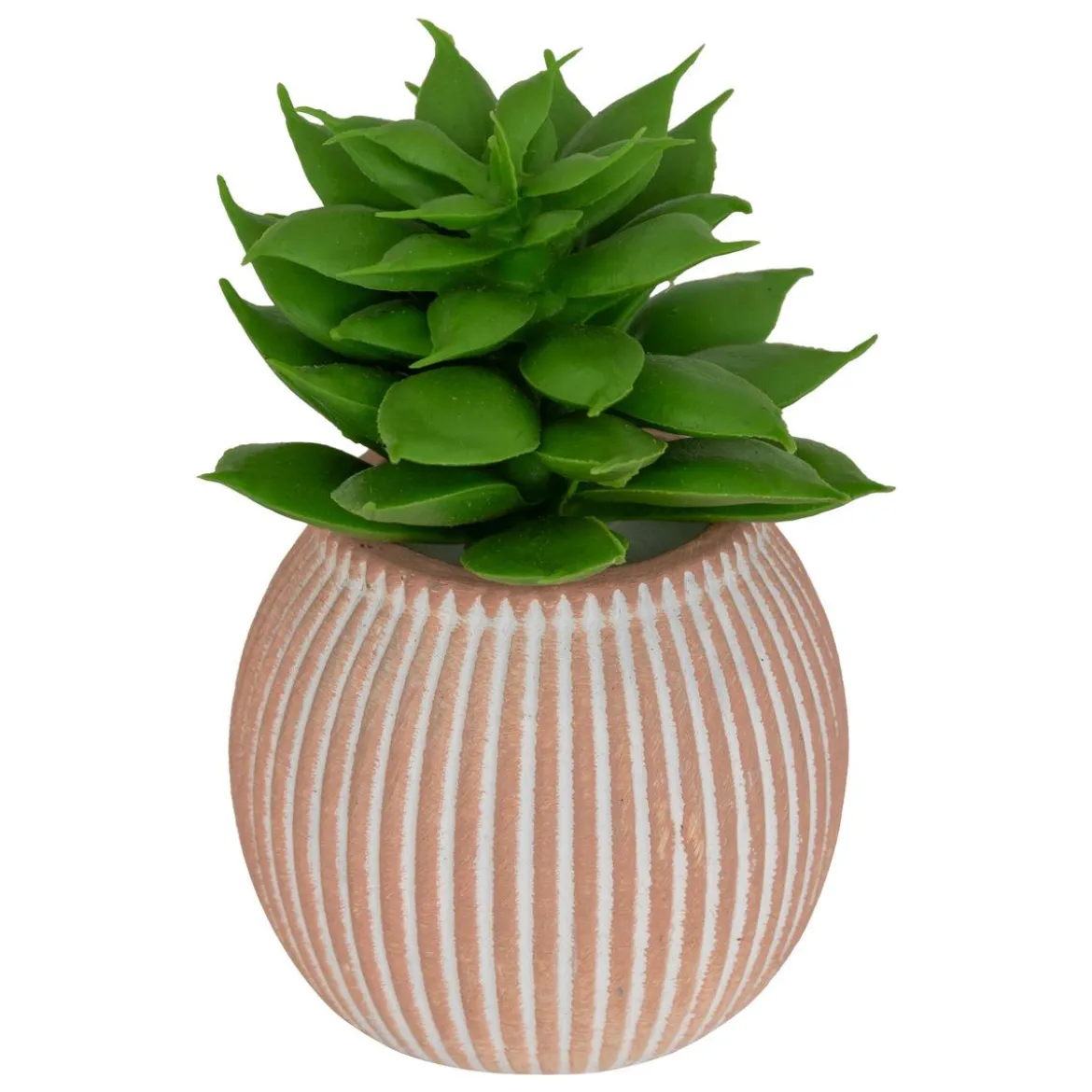 MINI PLANTE GRASSE POT CIMENT UBI H.7CM