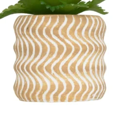 MINI PLANTE GRASSE POT CIMENT UBI H.7CM