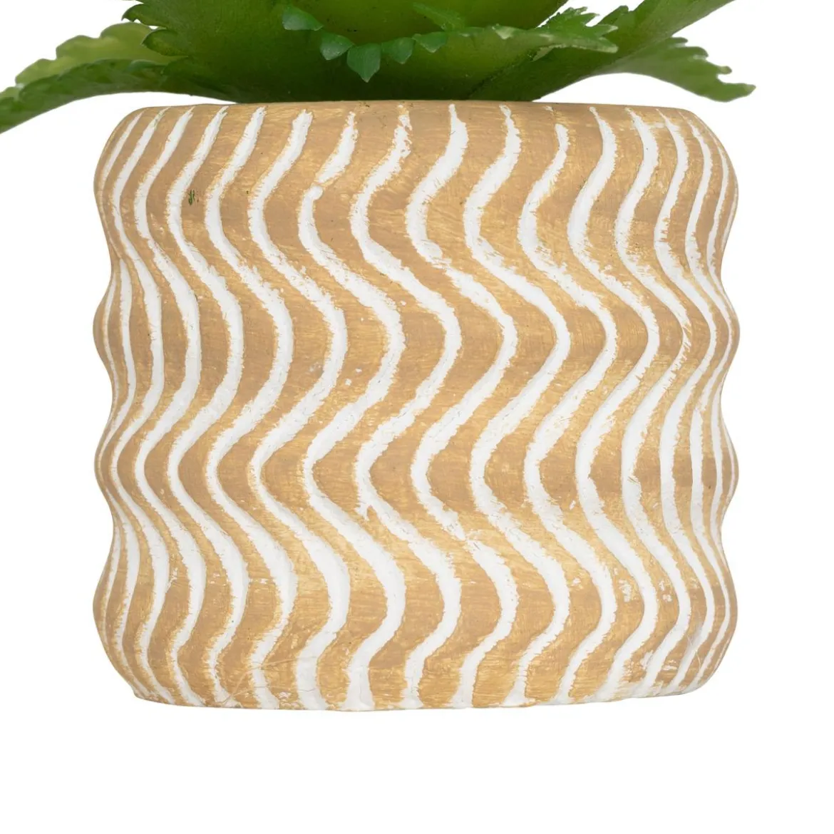 MINI PLANTE GRASSE POT CIMENT UBI H.7CM