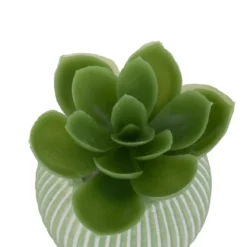 MINI PLANTE GRASSE POT CIMENT UBI H.7CM