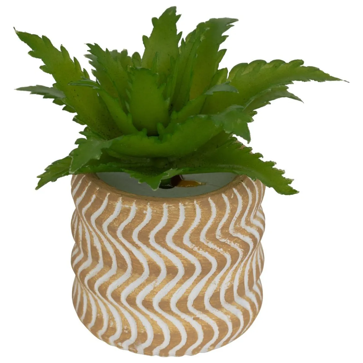 MINI PLANTE GRASSE POT CIMENT UBI H.7CM