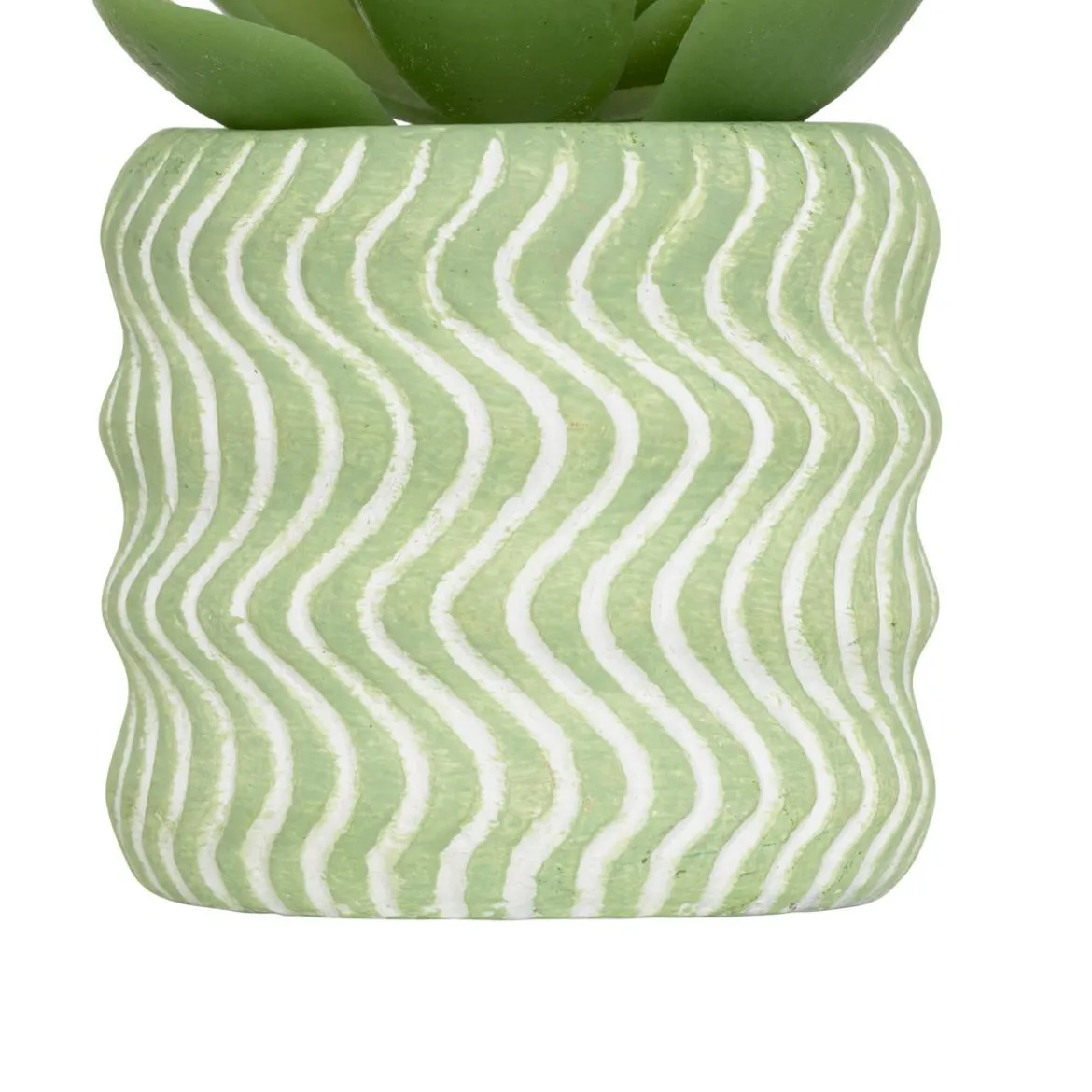 MINI PLANTE GRASSE POT CIMENT UBI H.7CM