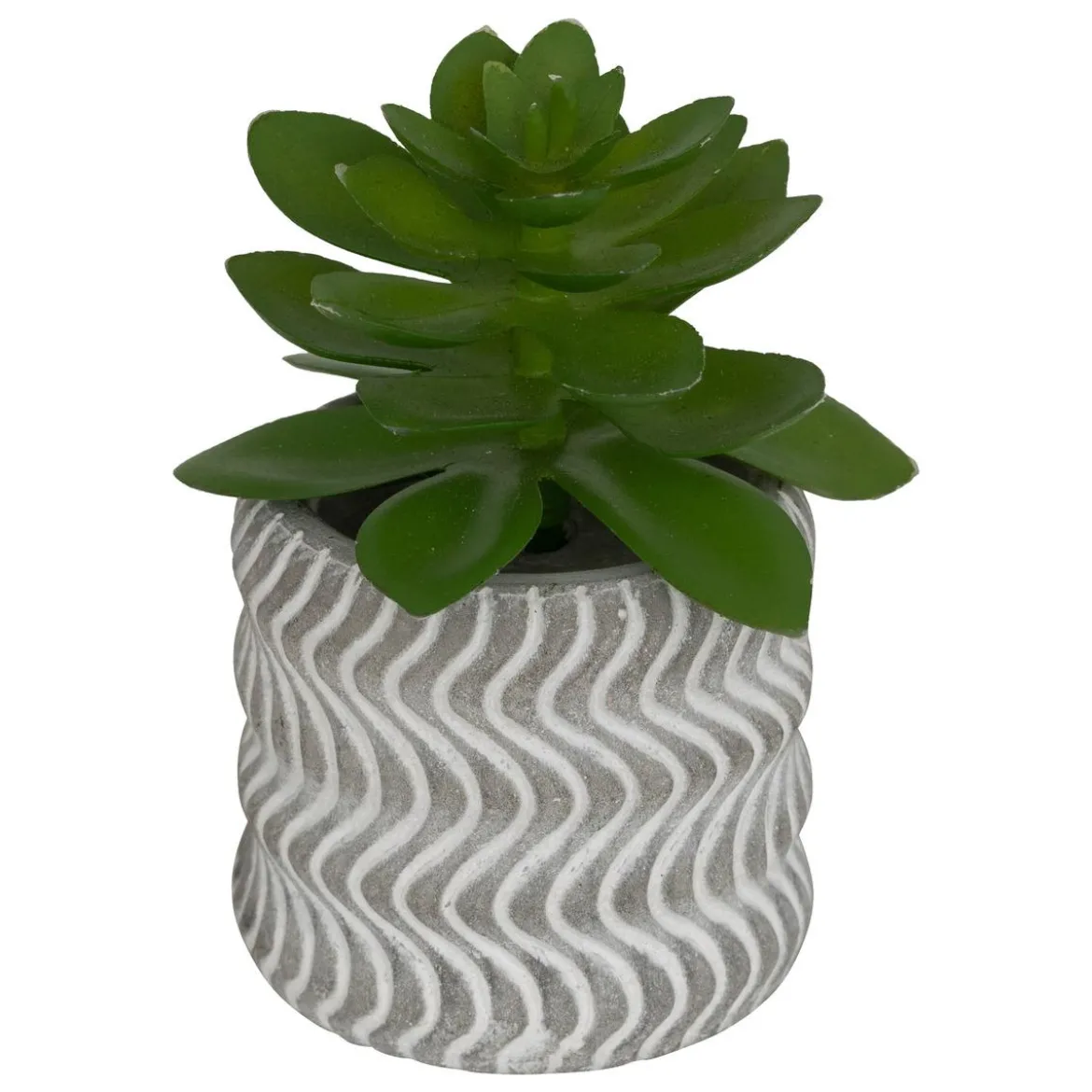 MINI PLANTE GRASSE POT CIMENT UBI H.7CM