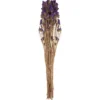 MYOSOTIS H.59CM