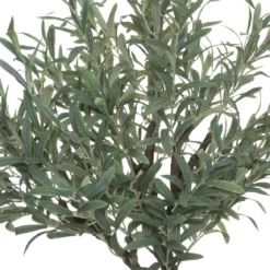 OLIVIER EN POT OLIFU H.140CM