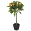 ORANGER EN POT NARANCS H.58CM