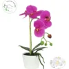 ORCHIDEE POT CERAMIQUE BLANC H.30CM