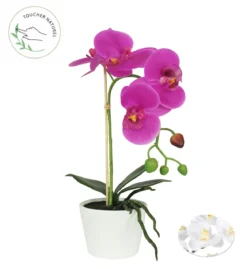 ORCHIDEE POT CERAMIQUE BLANC H.30CM