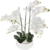 ORCHIDEE POT CERAMIQUE BLANC SANAE H.65CM