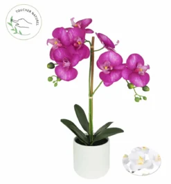 ORCHIDEE POT CERAMIQUE BLANC H.52CM BLANC ET FUCHSIA
