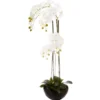 ORCHIDEE POT CERAMIQUE H.115CM