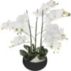 ORCHIDEE POT CERAMIQUE NOIR H.65CM