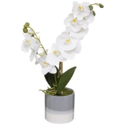 ORCHIDEE POT CERAMIQUE REACTIVE H.45CM