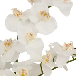 ORCHIDEE POT CIMENT MICK BLANC H.80CM