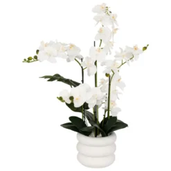 ORCHIDEE POT CIMENT MICK BLANC H.80CM