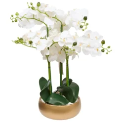 ORCHIDEE POT DORE SANAE H.65CM