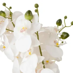 ORCHIDEE POT DORE SANAE H.65CM