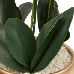 ORCHIDEE POT DORE SANAE H.65CM