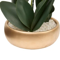 ORCHIDEE POT DORE SANAE H.65CM