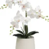ORCHIDEES 3 BRANCHES EN POT H60CM BLANC