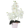 ORCHIDEES 13 FLEURS POT PLASTIQUE H.44CM