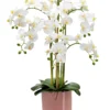 ORCHIDEES GEANTES TOUCHER NATUREL X6 BRANCHES ROSE OR H.80CM