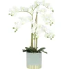 ORCHIDEES GEANTES TOUCHER NATUREL X6 BRANCHES GRIS OR H.80CM