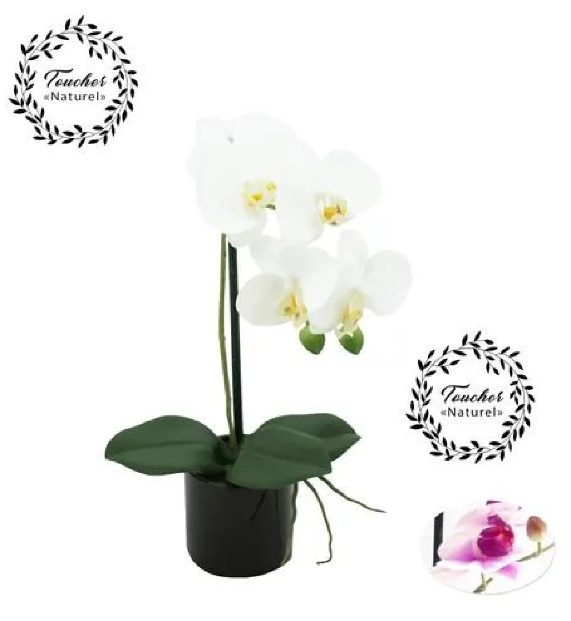 ORCHIDEES NATUREL POT CERAMIQUE NOIR H.36CM