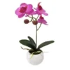 ORCHIDEES TOUCHER NATUREL EN POT CERAMIQUE BLANCHE H21CM