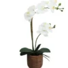 ORCHIDEES X2 EN POT CIMENT EFFET CANNAGE H.56CM