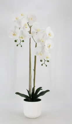 ORCHIDEE TOUCHER NATUREL 16 FLEURS POT PLASTIQUE H.100CM